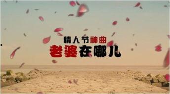 情人节 搞笑 歌曲,甜蜜陷阱，笑料连连